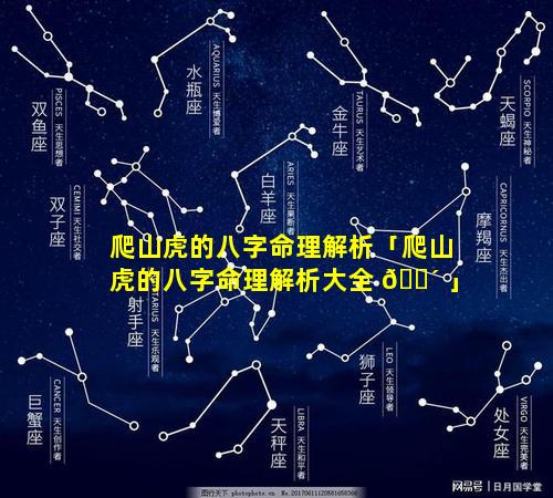 爬山虎的八字命理解析「爬山虎的八字命理解析大全 🐴 」